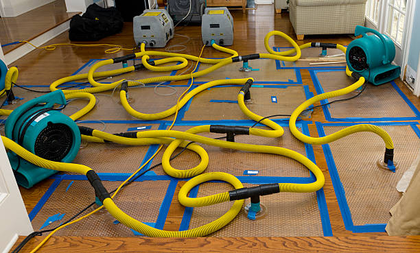 Professional Flood Damage Restoration technician working in Etna, ME